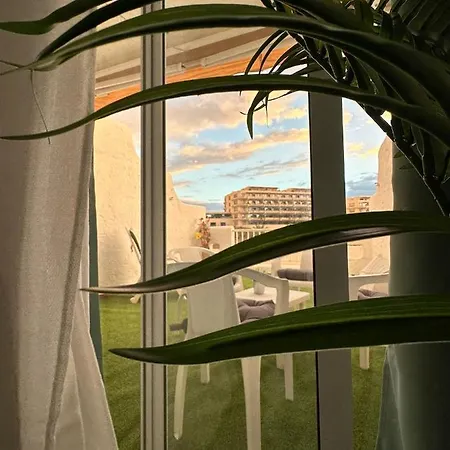 Апартаменты Paradise Sea View
